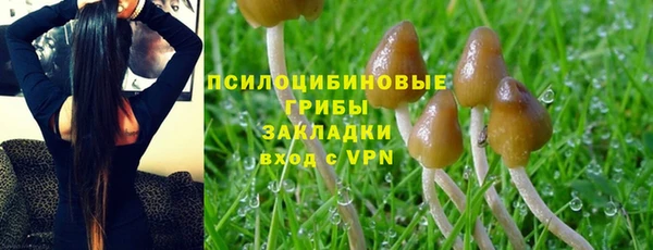 дурь Балахна